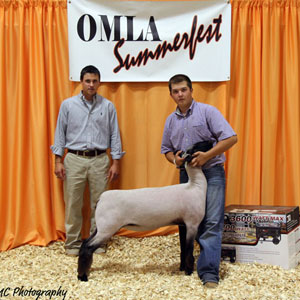 ChSummerfest Harrell Club Lambs Winners