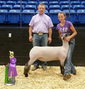 GrandBreeding Harrell Club Lambs Winners