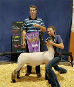 Grand_BirthplaceTexas Harrell Club Lambs Winners