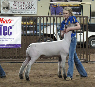 OYE-008 Harrell Club Lambs Winners