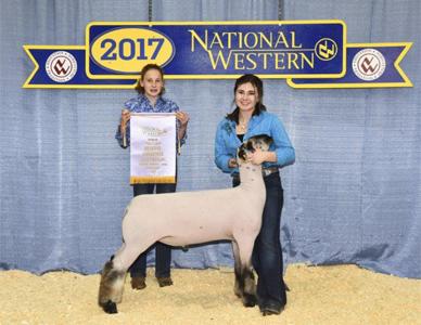 ResDiv1NWSS Harrell Club Lamb Winners