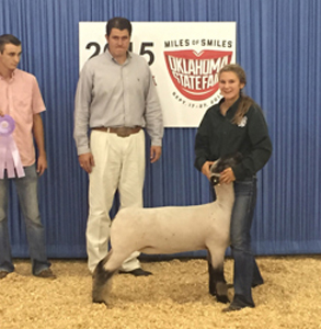ResDiv2Ewe Harrell Club Lambs Winners