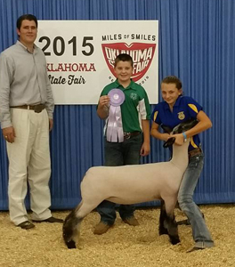 ResDiv3EweOKStateFair Harrell Club Lambs Winners