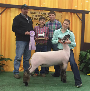 ResHampNAILE Harrell Club Lambs Winners