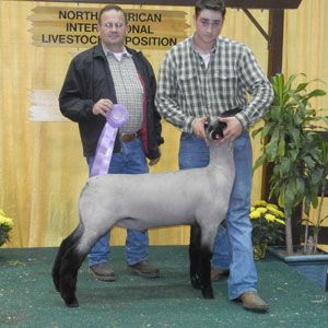 ResNaturalNAILE Harrell Club Lambs Winners