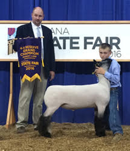 ResWether_Indiana Harrell Club Lambs Winners