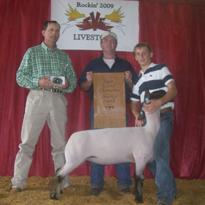 RiverLott Harrell Club Lambs Winners