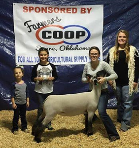 champewesayre Harrell Club Lambs Winners