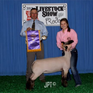 louisiana_supremeewe Harrell Club Lambs Winners