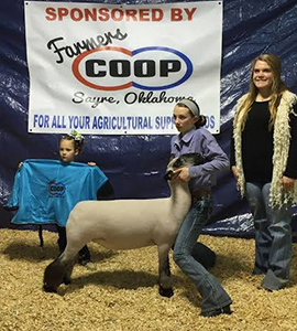 resewesayre Harrell Club Lambs Winners