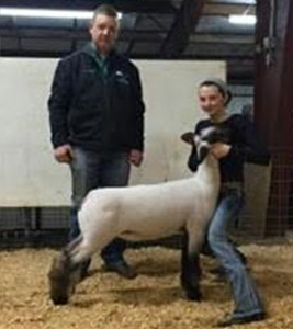 resewewalters Harrell Club Lambs Winners