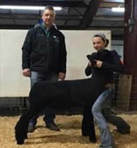reswetherwalters Harrell Club Lambs Winners