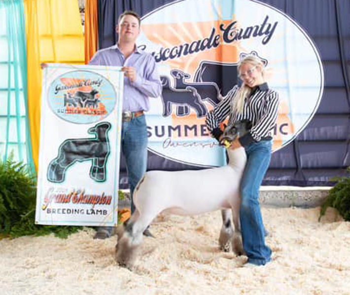 Grand Ewe 2024 Gasconade Summer Classic, Reserve Ewe 2024 Rockstar Round Up